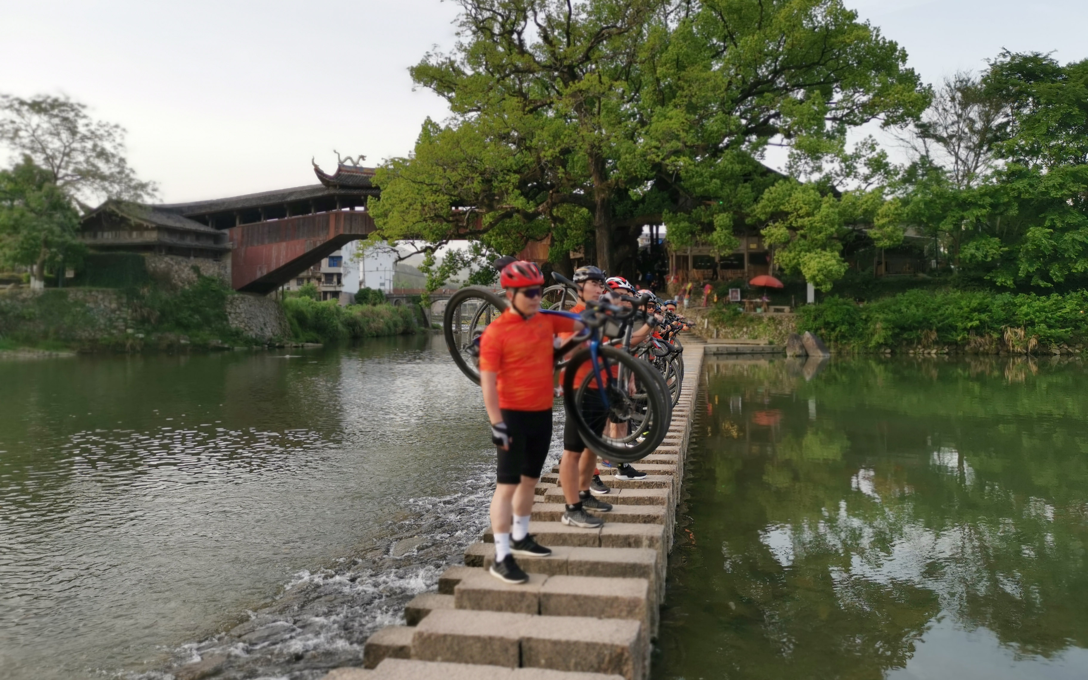 1619050334811095009.jpg 1619050334811095009.jpg